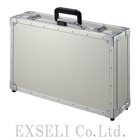 EBX-P4A